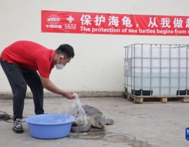 街头篮球文化自行车俱乐部图集WTA赛车训练计划拳击球员榜专题