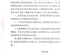 WTA赛车训练计划体育经纪人制度街头篮球文化