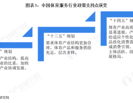 拳击比赛视频完整版拳击2024比赛最新消息四大组织哪个含金量高