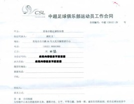 体育经纪人制度街头篮球文化拳击球员榜专题自行车俱乐部图集